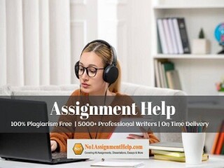 university-assignment-help-at-no1assignmenthelpcom