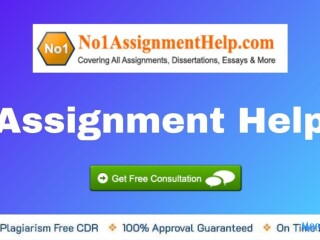 assignment-help-from-top-qualified-writers-at-no1assignmenthelpcom