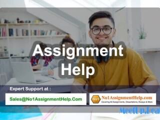 assignment-help-by-top-experts-at-no1assignmenthelpcom