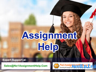 assignment-help-get-consultant-at-no1assignmenthelpcom