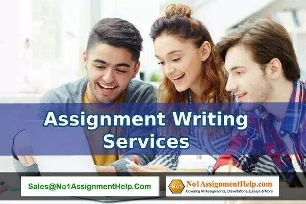 professional-assignment-help-get-at-no1assignmenthelpcom-big-0