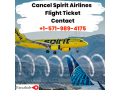 spirit-flight-cancelled-farezhub-small-0