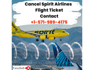 Spirit Flight Cancelled- Farezhub