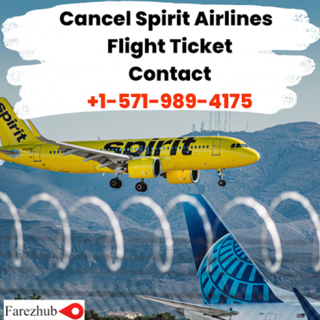 spirit-flight-cancelled-farezhub-big-0