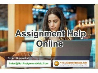 Cheap Assignment Help By An Expert At No1AssignmentHelp.Com