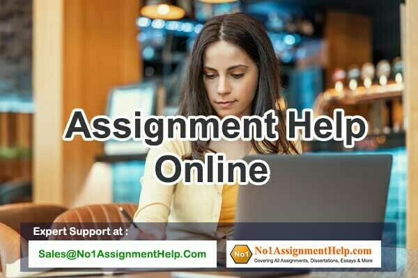 cheap-assignment-help-by-an-expert-at-no1assignmenthelpcom-big-0