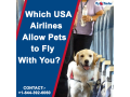united-airlines-pet-reservations-flyofinder-small-0
