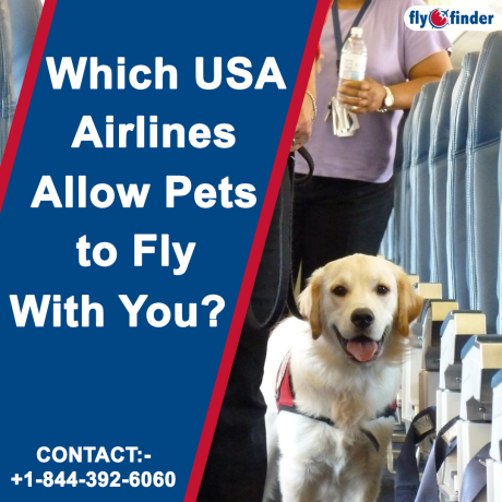 united-airlines-pet-reservations-flyofinder-big-0